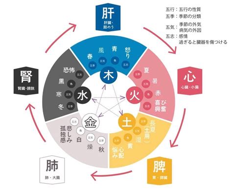 四季五行|淺談季節五行養生之道